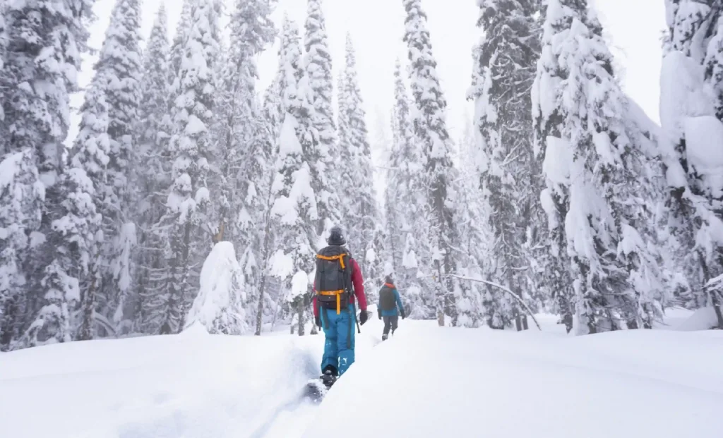 Silver Star Winter Snow Shoeing Path